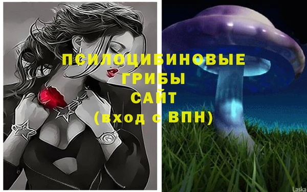 mix Армянск